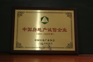 B1、中國(guó)房地產(chǎn)誠(chéng)信企業(yè)2005—2006年